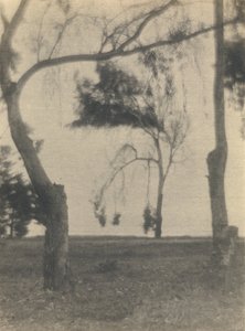 Landschap met bomen